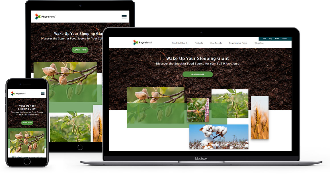 PhycoTerra Responsive Screenshot